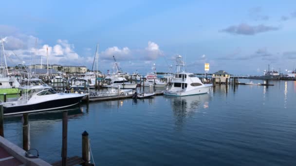 Key West Florida August 2019 Early Morning Scene Marina — стокове відео