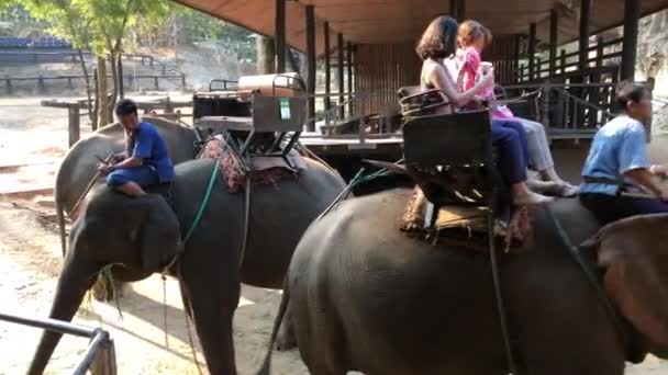 Chiang Rai Thailand Mars 2018 Turister Och Tränare Rida Elefanter — Stockvideo