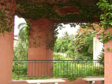 Pillars of an abandoned mall covered by creeping vinves.