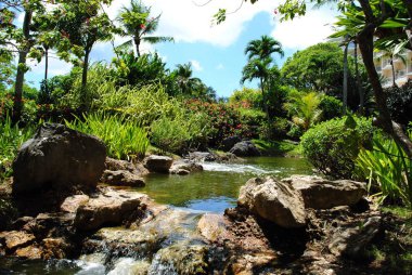 Scenic garden view with a stream flowing through it
