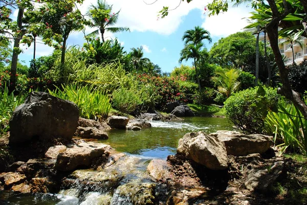 Scenic Garden View Stream Flowing — Stockfoto