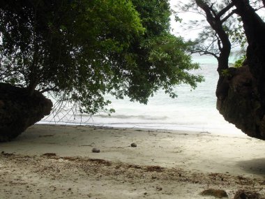 Beautiful white sand beach at the rock islands in Palau.