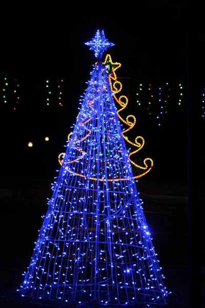 Medium close up of a Chirstmas tree lit by blue lights