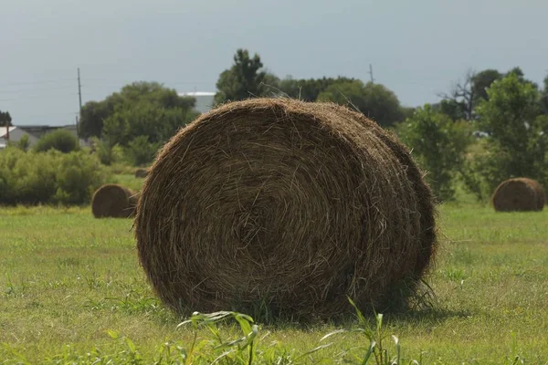 Medium close up of a rol of hay in a grassy field