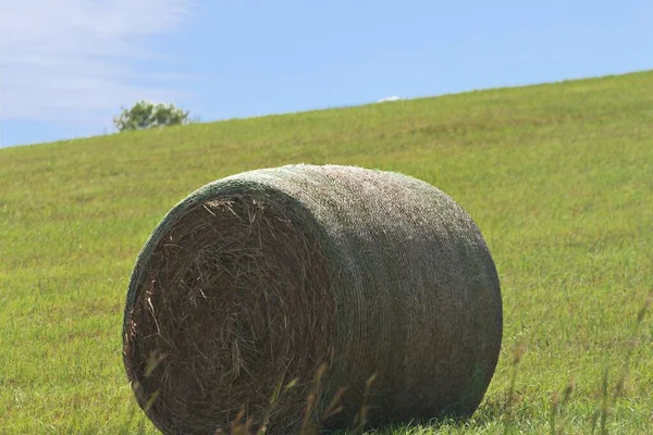 Big Roll Hay Green Slope — 스톡 사진