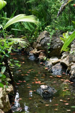 Small stream flowing in a landscaped garden