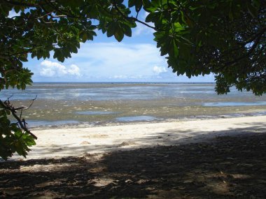 Low tide at a beach in Melekiok, Palau