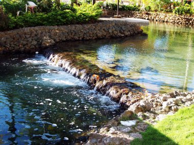 Water flows in a creek from a landscaped garden