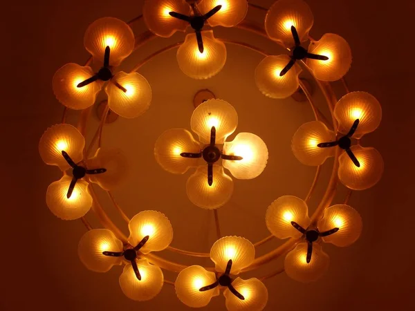 Upward Shot Lighted Bulbs Floral Designs Mounted Ceiling — 스톡 사진