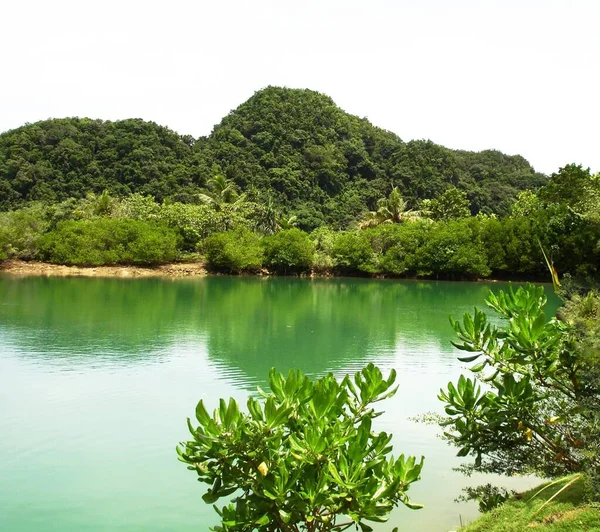 Beautiful Lagoon Bordered Green Shrubs — 图库照片