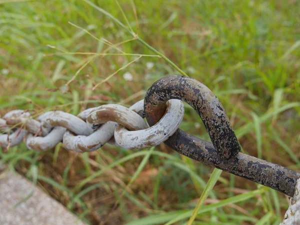 Medio Acercamiento Grueso Eslabón Cadena Cerca Área Privada —  Fotos de Stock