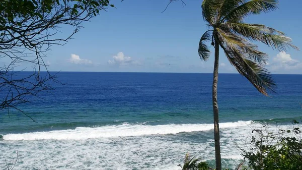 Cropped Shot White Foaming Waves Lone Coconut Tree Parola Beach — Stock Photo, Image