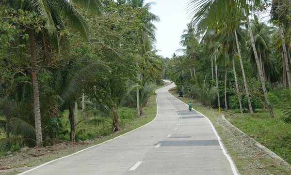 Gobernador Generoso Davao Oriental Filipinas Marzo 2016 Camino Sinuoso Bordeado —  Fotos de Stock