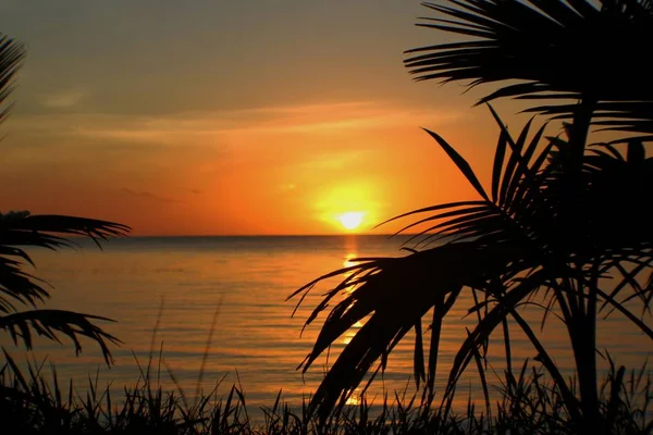 Silhouet Van Palmbladeren Met Een Dramatische Zonsondergang Weerspiegeld Het Strand — Stockfoto