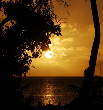 Tam gün batımı ön planda ağaç siluetleri ile sulara yansıdı.