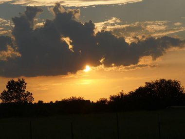 Ağaç tepelerinin üzerinde dramatik bulutlarla güzel bir gün batımı. 