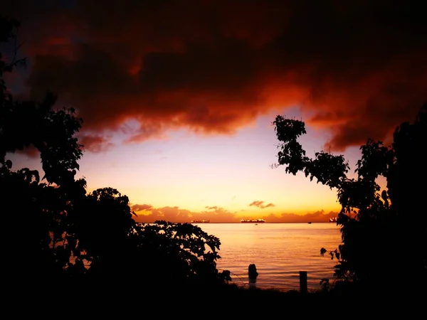 Gorgeous frame of clouds and silhouettes of shrubs in the sea at sunset