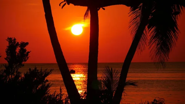 Colores Rojos Ardientes Del Atardecer Mar Con Cocoteros Playa — Foto de Stock