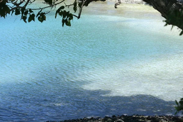 Praia Imaculada Emoldurada Por Uma Árvore Uma Ilha Tropical — Fotografia de Stock