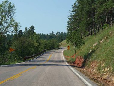 Manzara, Güney Dakota 'daki Custer State Ulusal Parkı' nda virajlı yollar boyunca ilerliyor.