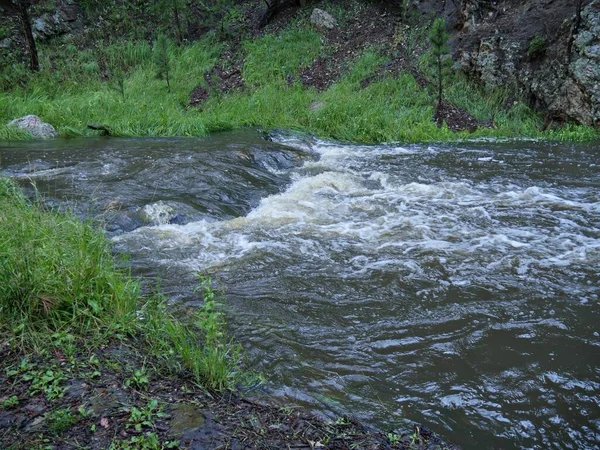 Amplo Tiro Rio Área Piquenique Fish Hook Custer State Park — Fotografia de Stock