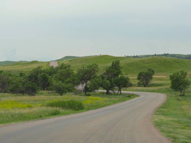 Güney Dakota 'daki Custer State Park' taki Vahşi Yaşam Döngüsü 'nde virajlı yol boyunca manzaralı sürüş..
