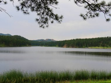 Güney Dakota Custer Eyalet Parkı 'ndaki Stockade Gölü' nün güzel manzarası. 
