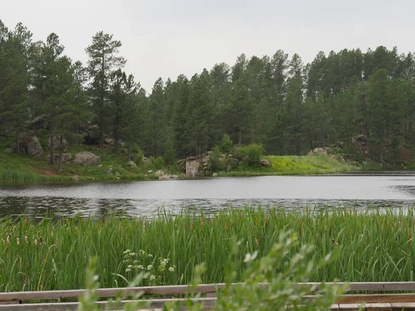 Foto Mediana Bismark Lake Uno Los Lagos Custer State Park —  Fotos de Stock