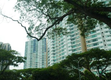 Yeşil ağaçlar ve yeşillikler Singapur 'un yollarını süslerken, arka planda modern yüksek binalar bulunuyor.. 