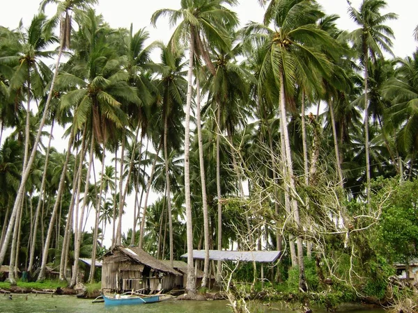 Рыбацкая Деревня Суригао Дель Сур Филиппины Высокими Кокосовыми Пальмами Берегу — стоковое фото