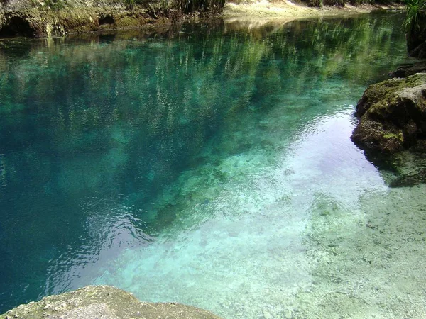 Sko Grønt Ved Den Fortryllede Flod Surigao Del Sur Filippinerne - Stock-foto