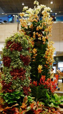 Singapur, Singapur-Mart 2016: Dünyaca ünlü Changi Havaalanını süsleyen renkli orkideler.