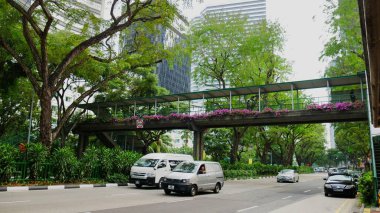 Singapur, Singapur-Mart 2016: Singapur 'da yaya geçidini süsleyen renkli çiçeklerle sokak manzarası.