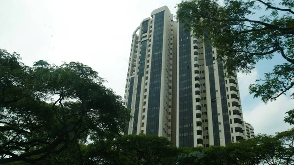 Singapur Singapur Marzo 2016 Edificio Moderno Enmarcado Por Frondosos Árboles —  Fotos de Stock