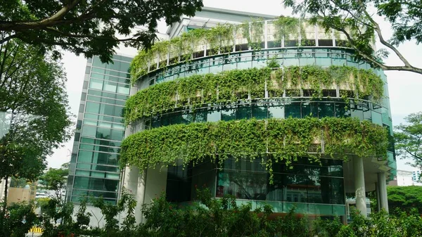 Singapur Singapur Marzo 2016 Exuberantes Plantas Adornan Hotel Parkroyal Conocido — Foto de Stock