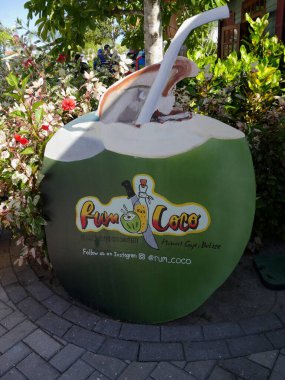 Hasat Caye, Belize- Ocak 2018 Harvest Caye 'deki bir hediyelik eşya dükkanının önünde dizayn ve renkli sanat eserleriyle çizilmiş yeşil hindistan cevizi..