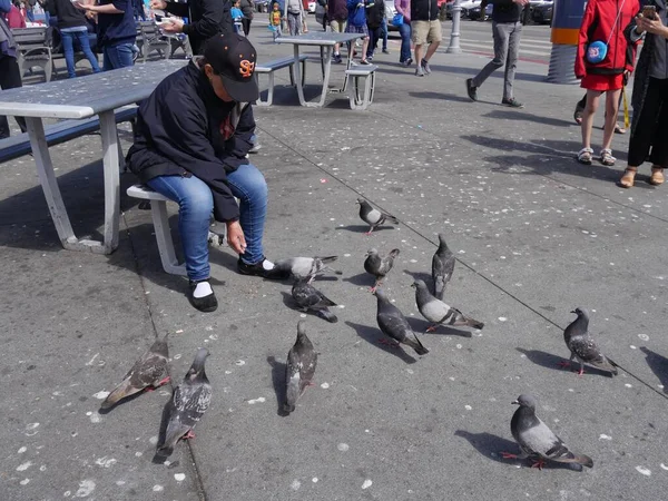 San Francisco California Julio 2018 Una Mujer Alimenta Las Palomas — Foto de Stock