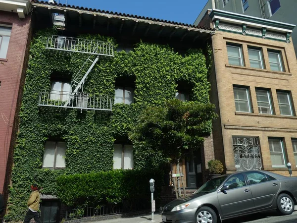 San Francisco California Julio 2018 Fachada Edificio Apartamentos Cubierto Vid — Foto de Stock