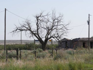 Glenrio hayalet kasabasındaki harap olmuş bir binanın dışındaki yapraksız bir ağacın geniş açılı görüntüsü. Batı Amerika 'nın hayalet kasabalarından biri.. 