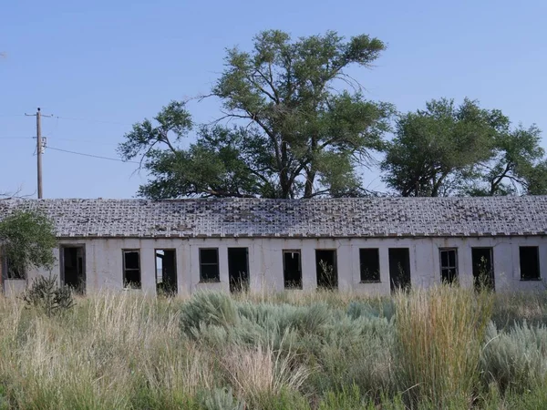 Ruines Une Structure Délabrée Recouverte Arbustes Glenrio Une Des Villes — Photo