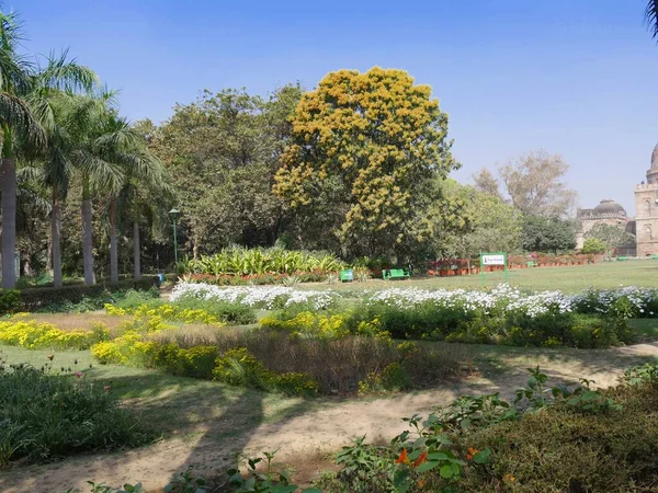 Nueva Delhi India Marzo 2018 Colorantes Flores Jardín Lodi Una — Foto de Stock