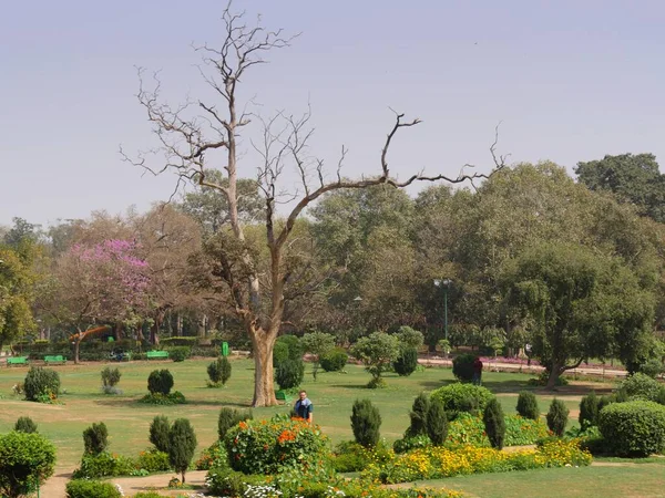 New Delhi India Maart 2018 Landschap Met Bloemen Bomen Lhodi — Stockfoto
