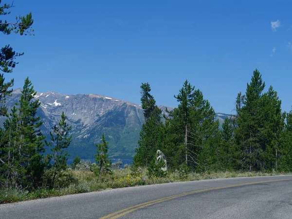 Scenic Road View Pine Trees Mountain Ranges Grand Teton National — Stock Photo, Image