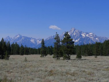 Yol boyunca uzanan çam ağaçlarının panoramik manzarası ve Wyoming 'deki Grand Teton dağ sıraları..