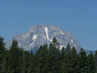 Önünde çam ağaçlarının tepeleri olan karla kaplı dağ tepesi Grand Teton Ulusal Parkı, Wyoming.