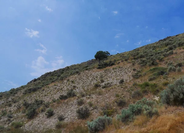 Vista Lateral Montanha Tiro Recortado Com Uma Árvore Solitária Jovem — Fotografia de Stock