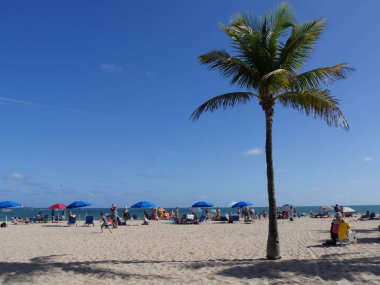 Miami, Florida- Aralık 2018: kıyılara dağılmış plajda beyaz kumlu Miami plajı. 