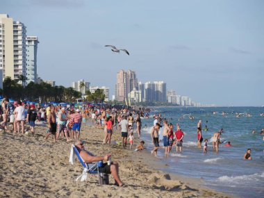 Fort Lauderdale, Miami- Aralık 2018 'de Fort Lauderdale sahillerinde bir kuşun gökyüzünde uçuşuyla gezen bir sürü tatilciyle plaja yakın bir yerde.. 