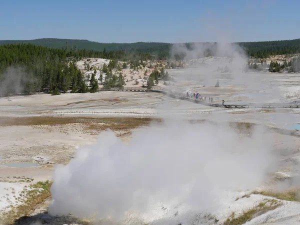 Wyoming Usa 2018 Július Meleg Gőz Emelkedik Norris Geyserből Emberek — Stock Fotó