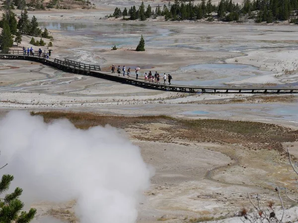 Wyoming Usa 2018 Július Lélegzetelállító Kilátás Nyílik Norris Geyserre Forró — Stock Fotó